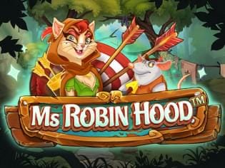 Ms Robin Hood screenshot