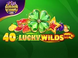 40 Lucky Wilds Hot Golden Coins Link VIP screenshot